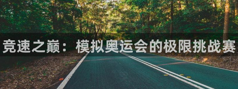 利记官方正版app集团官网首页网址：竞速之巅：模拟奥