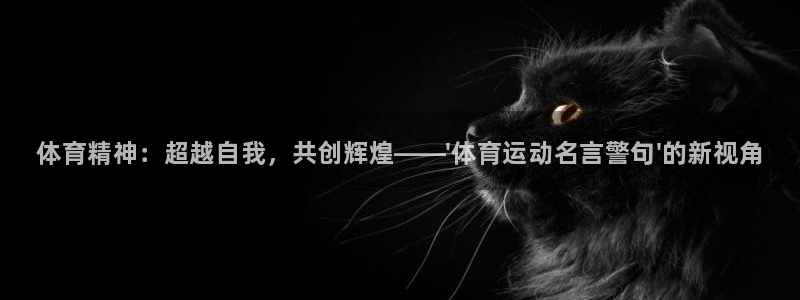 利记官网下载娱乐：体育精神：超越自我，共创辉煌——\'体育运