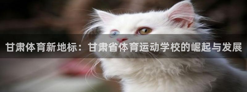 利记官网下载平台注册流程视频：甘肃体育新地标：甘肃省体育运动