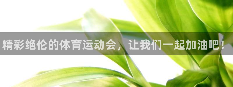 利记官网下载招商电话号码查询：精彩绝伦的体育运动会，让我们一