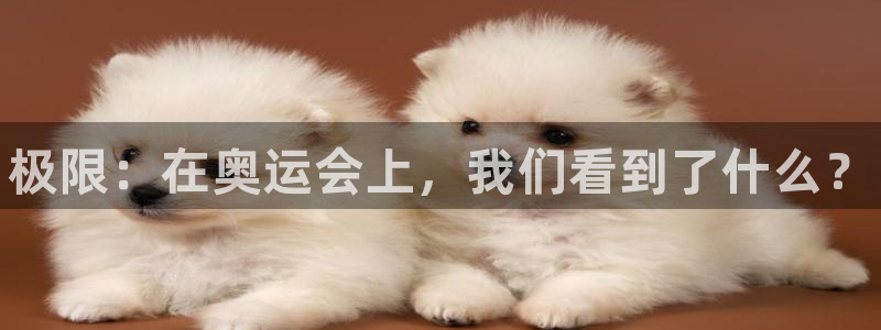 利记官网下载平台