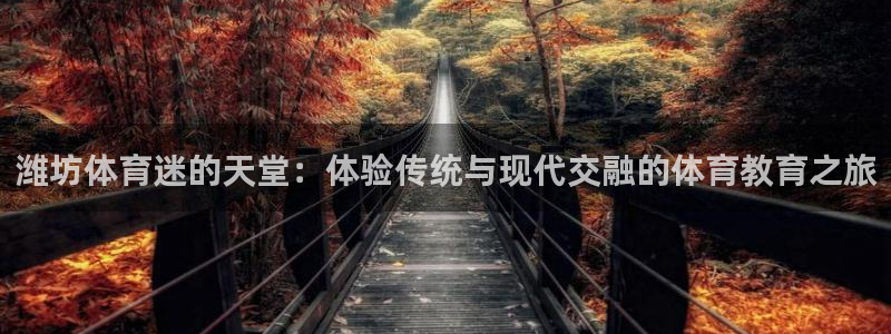 利记官方正版app官方：潍坊体育迷的天堂：体验传统与