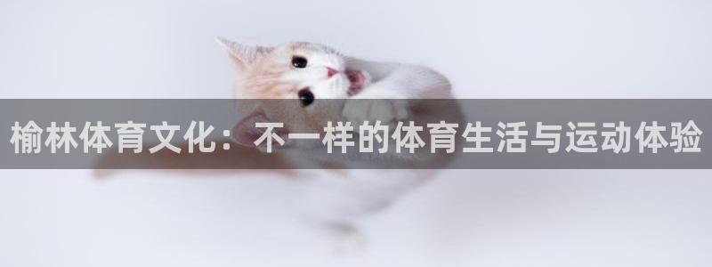 利记官网下载招商电话地址：榆林体育文化：不一样的体育生活与运