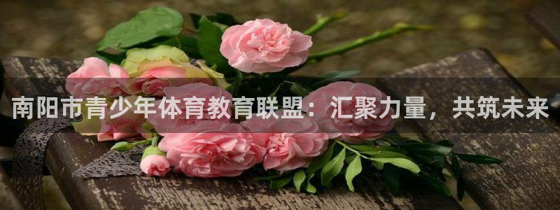 利记官网下载平台假的吗是真的吗：南阳市青少年体育教育
