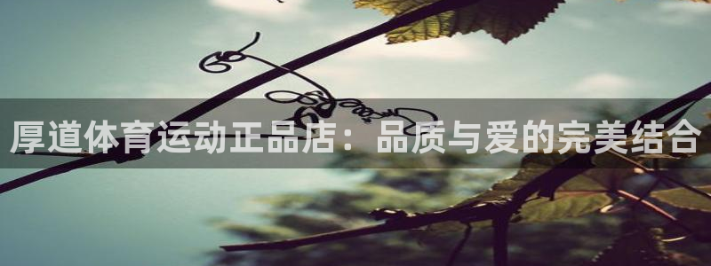 利记官方正版app集团logo：厚道体育运动正品店：