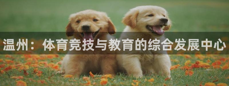 利记官网下载注册：温州：体育竞技与教育的综合发展中心