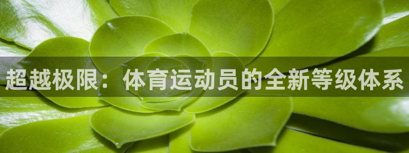 利记官网下载招商电话号码是多少号：超越极限：体育运动