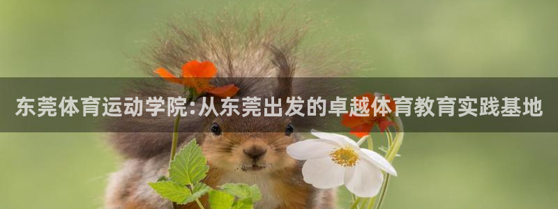 利记官网下载平台假的吗是真的吗吗：东莞体育运动学院: