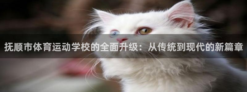 利记官网下载招商电话号码是多少：抚顺市体育运动学校的全面升级