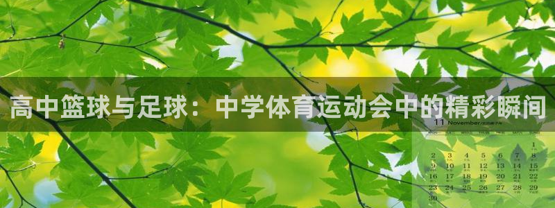 利记官方正版app娱乐下载：高中篮球与足球：中学体育运动会中
