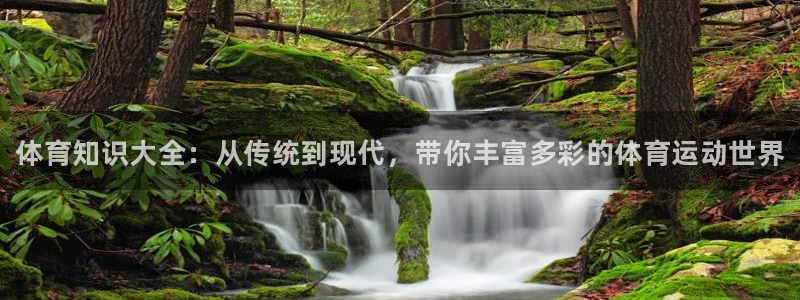 利记官网下载平台