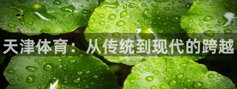 利记官网下载平台注册要钱吗：天津体育：从传统到现代的跨越