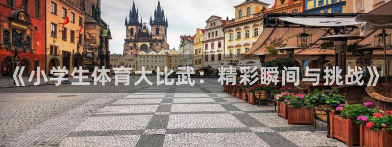 利记官方正版app集团官网首页网址：《小学生体育大比武：精彩