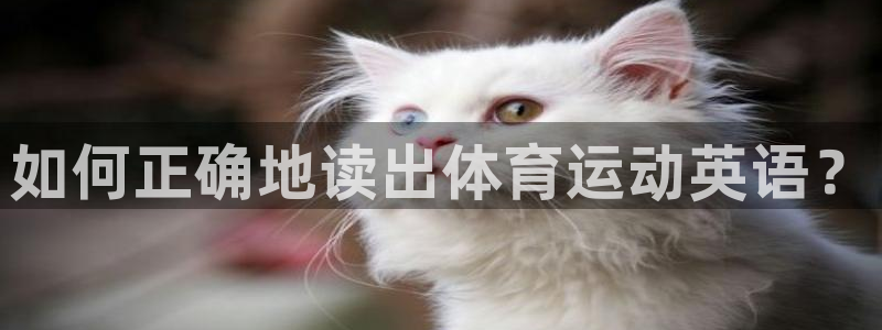 利记官方正版app集团logo