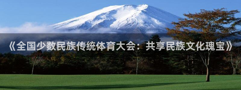 利记官方正版app官方：《全国少数民族传统体育大会：