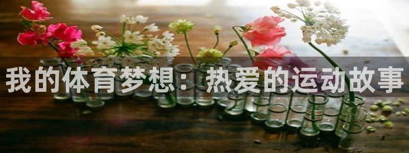 利记官方正版app集团官网首页网址：我的体育梦想：热爱的运动