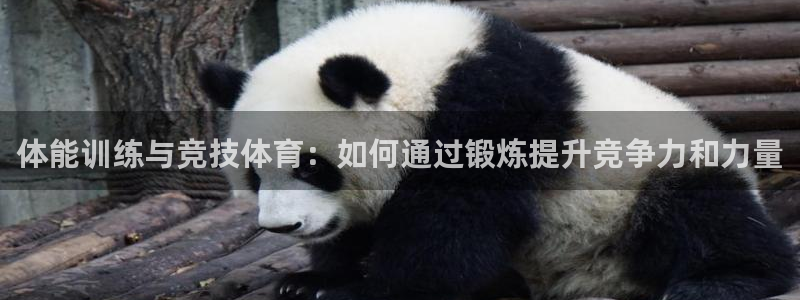 利记官方正版app娱乐40996：体能训练与竞技体育