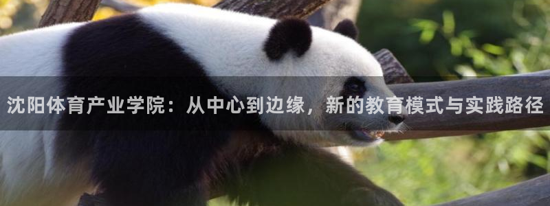 利记官方正版app娱乐：沈阳体育产业学院：从中心到边缘，新的