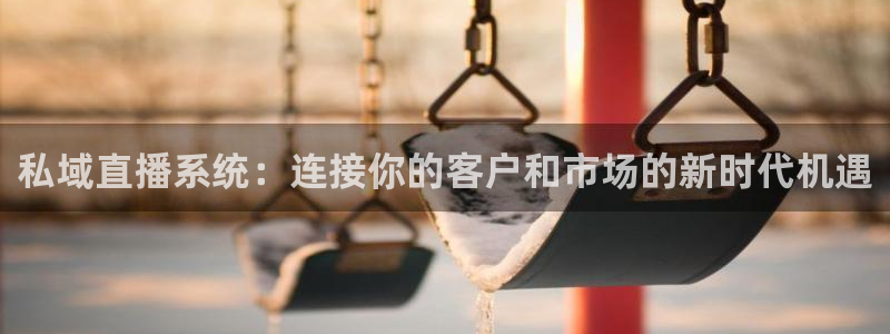 松鼠直播体育免费：私域直播系统：连接你的客户和市场的新时代机遇