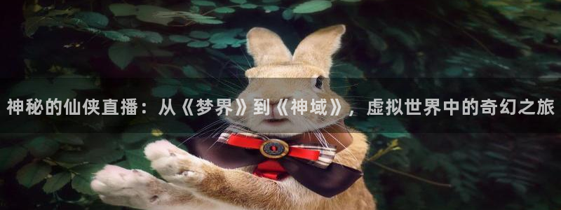 松鼠体育在线直播下载：神秘的仙侠直播：从《梦界》到《神域》，虚拟世界中的奇幻之旅