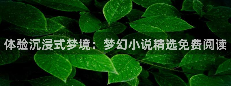 松鼠体育：体验沉浸式梦境：梦幻小说精选免费阅读