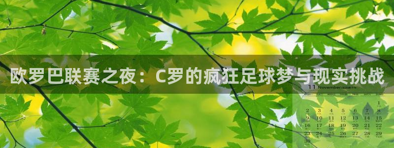 松鼠直播nba：欧罗巴联赛之夜：C罗的疯狂足球梦与现实挑战