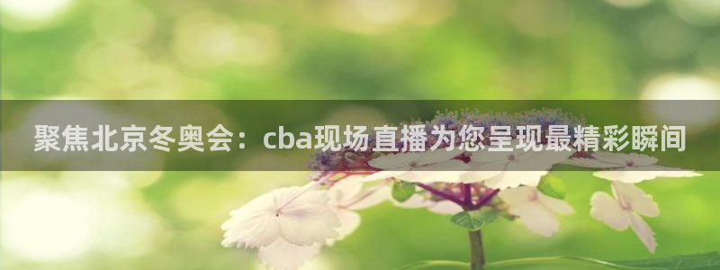 松鼠直播