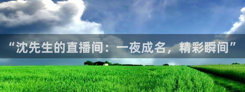 松鼠直播体育免费：“沈先生的直播间：一夜成名，精彩瞬间”