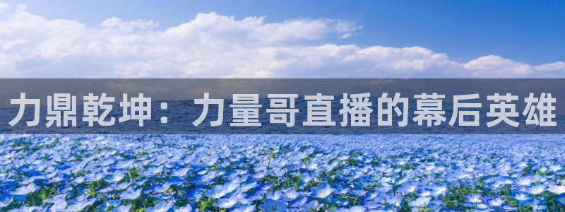 松鼠官方网站：力鼎乾坤：力量哥直播的幕后英雄