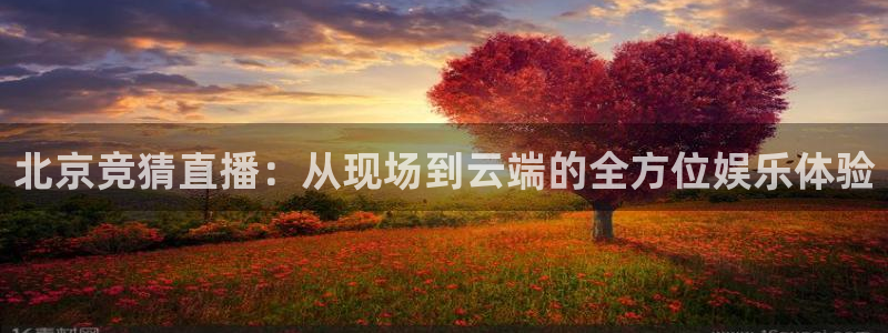 松鼠官方网站：北京竞猜直播：从现场到云端的全方位娱乐体验
