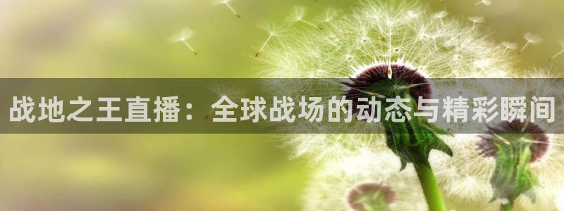 松鼠官方网站：战地之王直播：全球战场的动态与精彩瞬间