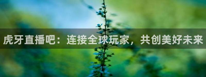 松鼠平台