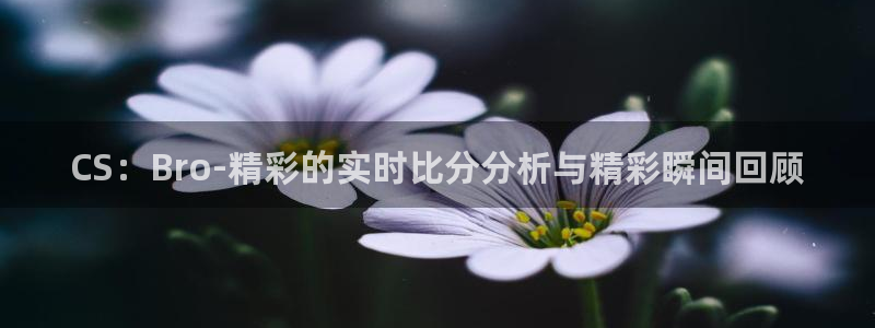 松鼠宝贝体育：CS：Bro-精彩的实时比分分析与精彩瞬间回顾