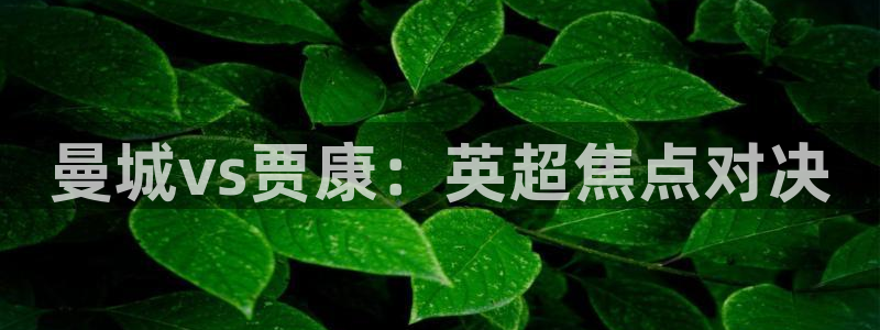松鼠官方网站：曼城vs贾康：英超焦点对决