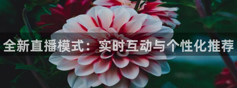 下载松鼠电视直播：全新直播模式：实时互动与个性化推荐